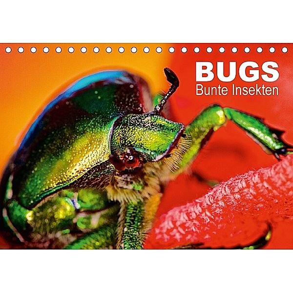 BUGS, Bunte Insekten (Tischkalender 2018 DIN A5 quer), Hannes Bertolini