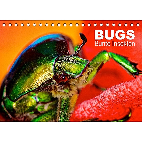 BUGS, Bunte Insekten (Tischkalender 2023 DIN A5 quer), Hannes Bertolini