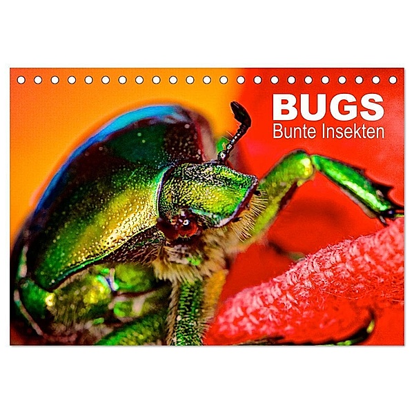BUGS, Bunte Insekten (Tischkalender 2024 DIN A5 quer), CALVENDO Monatskalender, Hannes Bertolini