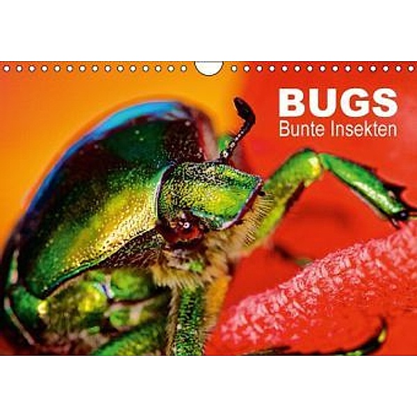 BUGS, Bunte Insekten (Wandkalender 2015 DIN A4 quer), Hannes Bertolini