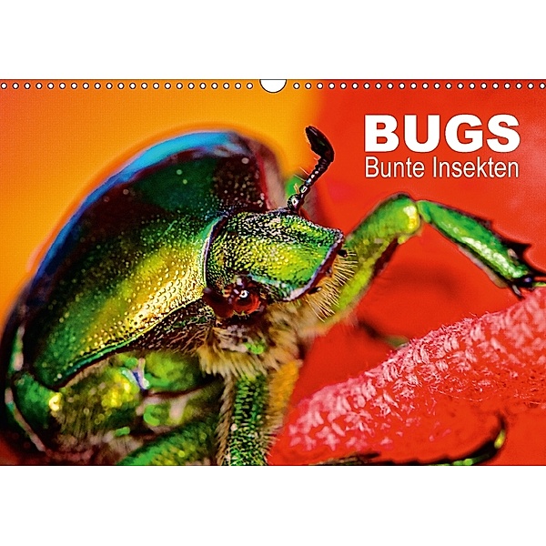 BUGS, Bunte Insekten (Wandkalender 2018 DIN A3 quer), Hannes Bertolini