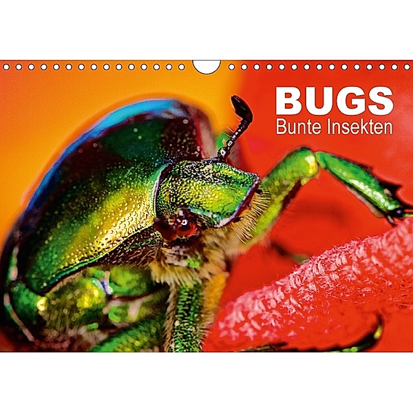 BUGS, Bunte Insekten (Wandkalender 2018 DIN A4 quer), Hannes Bertolini