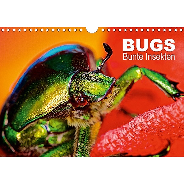 BUGS, Bunte Insekten (Wandkalender 2021 DIN A4 quer), Hannes Bertolini