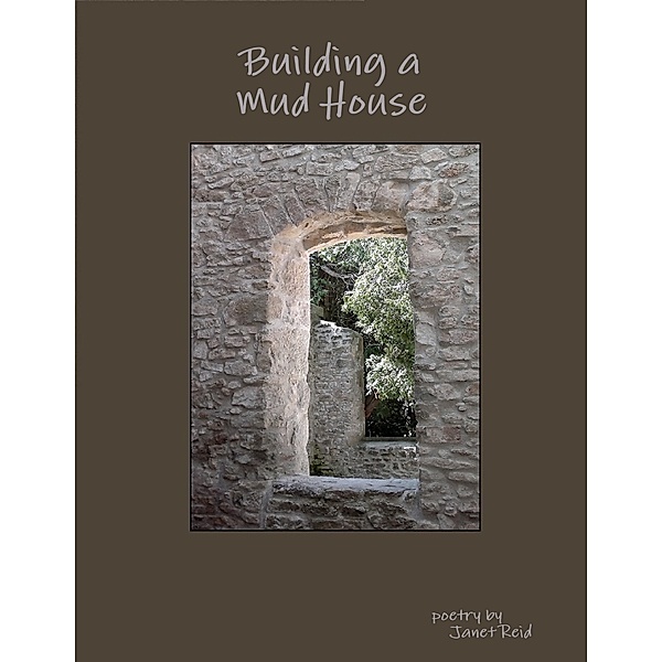 Building a Mud House, Janet Reid