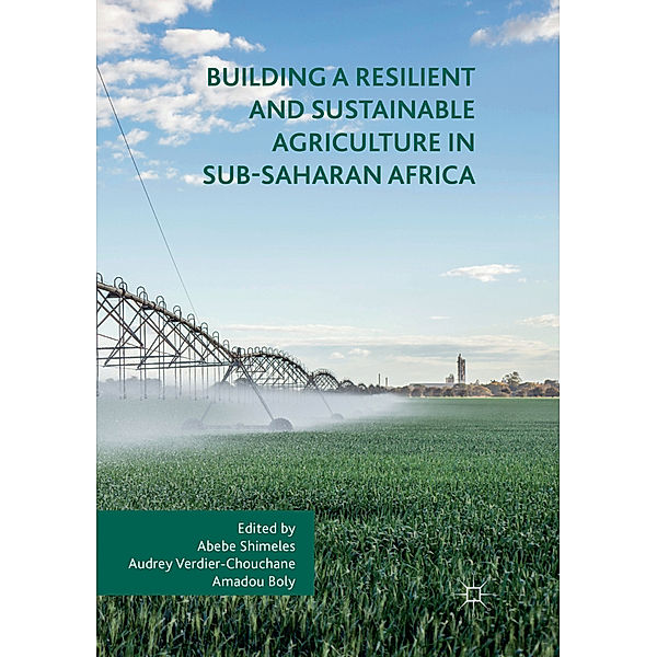 Building a Resilient and Sustainable Agriculture in Sub-Saharan Africa