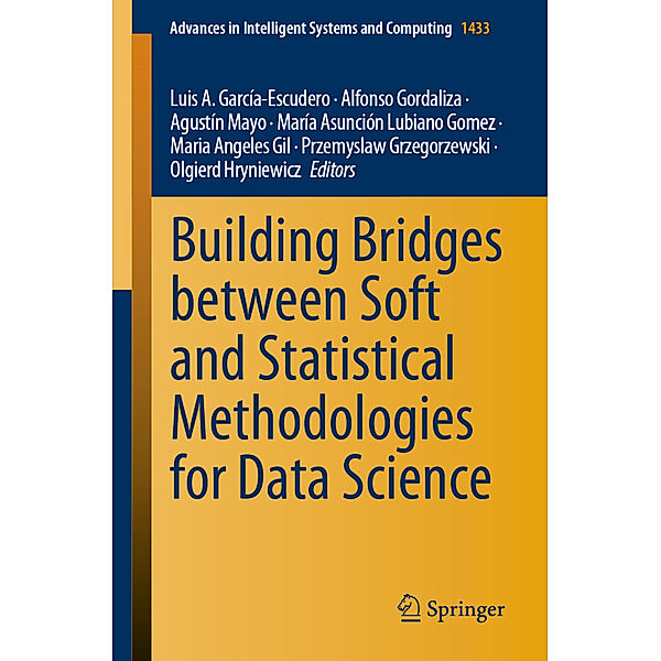 Building Bridges between Soft and Statistical Methodologies for Data Science