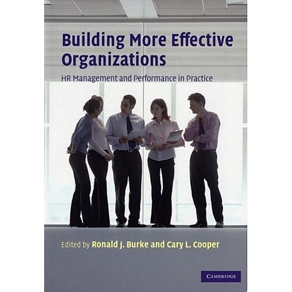 Building More Effective Organizations