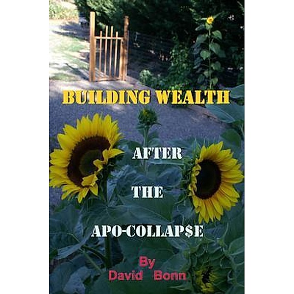 BUILDING WEALTH AFTER THE APO-COLLAP$E / Age In Place LLC, David Bonn