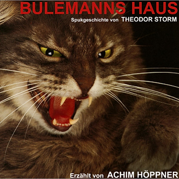 Bulemanns Haus, 1 Audio-CD, Theodor Storm