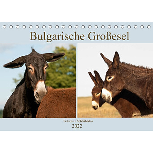 Bulgarische Großesel - Schwarze Schönheiten (Tischkalender 2022 DIN A5 quer), Meike Bölts