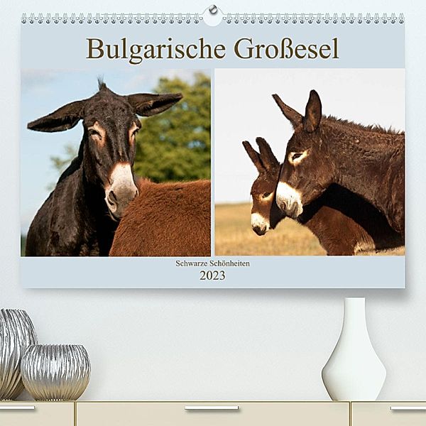 Bulgarische Großesel - Schwarze Schönheiten (Premium, hochwertiger DIN A2 Wandkalender 2023, Kunstdruck in Hochglanz), Meike Bölts