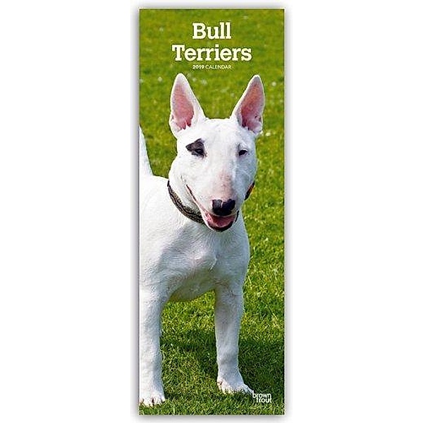Bull Terriers 2019, BrownTrout Publisher