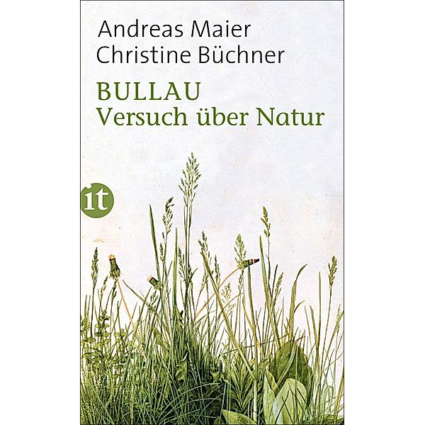 Bullau / Insel-Taschenbücher Bd.4581, Andreas Maier, Christine Büchner