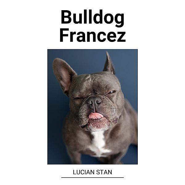 Bulldog Francez, Lucian Stan