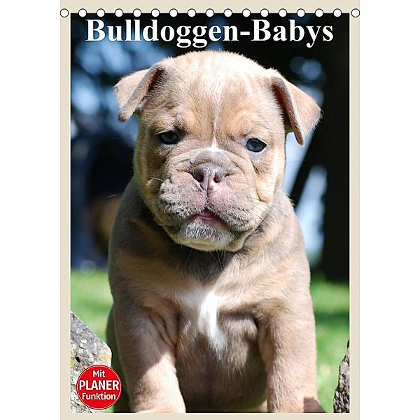 Bulldoggen-Babys (Tischkalender 2023 DIN A5 hoch), Elisabeth Stanzer