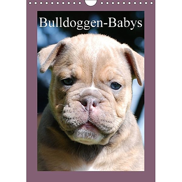 Bulldoggen-Babys (Wandkalender 2018 DIN A4 hoch), Elisabeth Stanzer