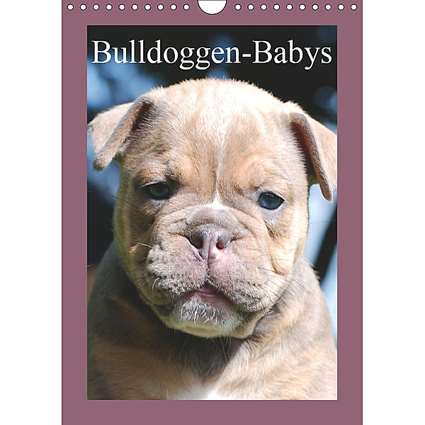 Bulldoggen-Babys (Wandkalender 2019 DIN A4 hoch), Elisabeth Stanzer