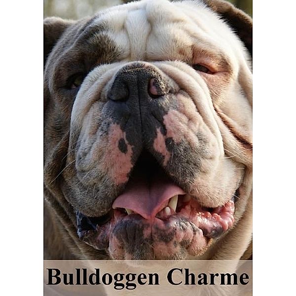 Bulldoggen Charme (Posterbuch DIN A2 hoch), Elisabeth Stanzer