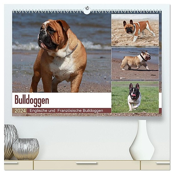 Bulldoggen - Englische und Französische Bulldoggen (hochwertiger Premium Wandkalender 2024 DIN A2 quer), Kunstdruck in Hochglanz, Chawera