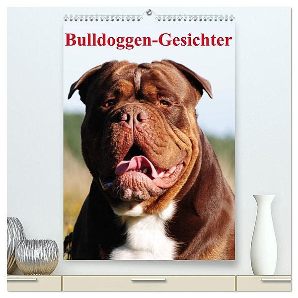 Bulldoggen-Gesichter (hochwertiger Premium Wandkalender 2025 DIN A2 hoch), Kunstdruck in Hochglanz, Calvendo, Elisabeth Stanzer