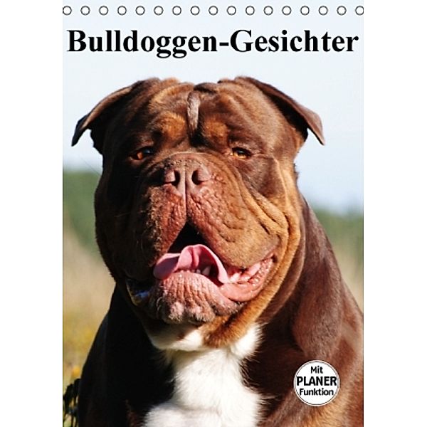 Bulldoggen-Gesichter (Tischkalender 2016 DIN A5 hoch), Elisabeth Stanzer