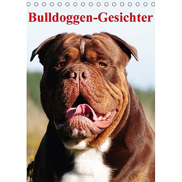 Bulldoggen-Gesichter (Tischkalender 2018 DIN A5 hoch), Elisabeth Stanzer