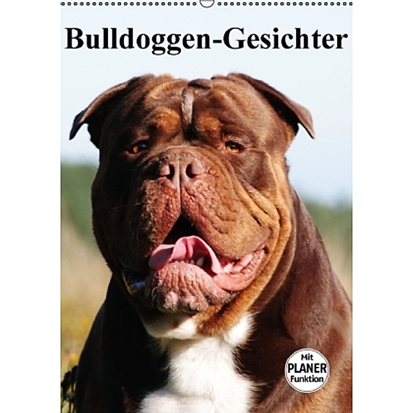 Bulldoggen-Gesichter (Wandkalender 2016 DIN A2 hoch), Elisabeth Stanzer