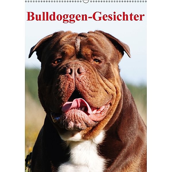 Bulldoggen-Gesichter (Wandkalender 2018 DIN A2 hoch), Elisabeth Stanzer