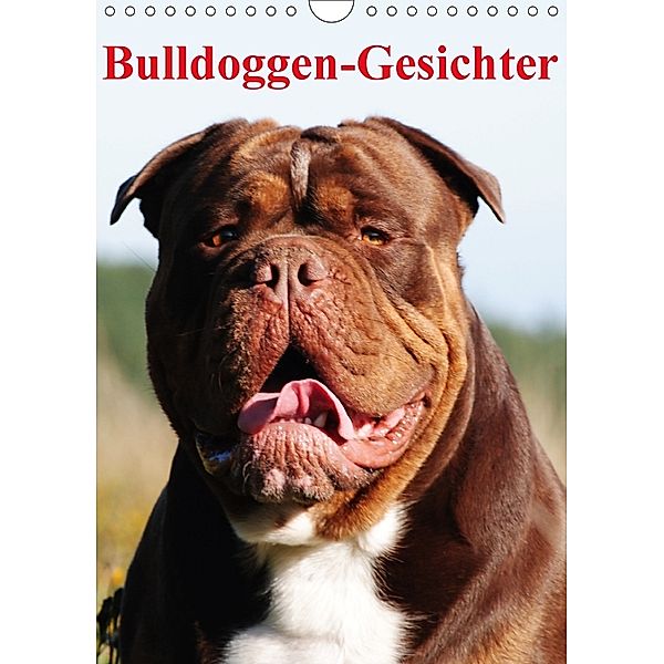 Bulldoggen-Gesichter (Wandkalender 2018 DIN A4 hoch), Elisabeth Stanzer