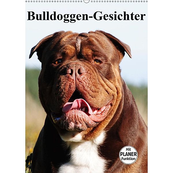 Bulldoggen-Gesichter (Wandkalender 2020 DIN A2 hoch), Elisabeth Stanzer