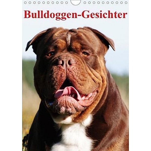 Bulldoggen-Gesichter (Wandkalender 2020 DIN A4 hoch), Elisabeth Stanzer