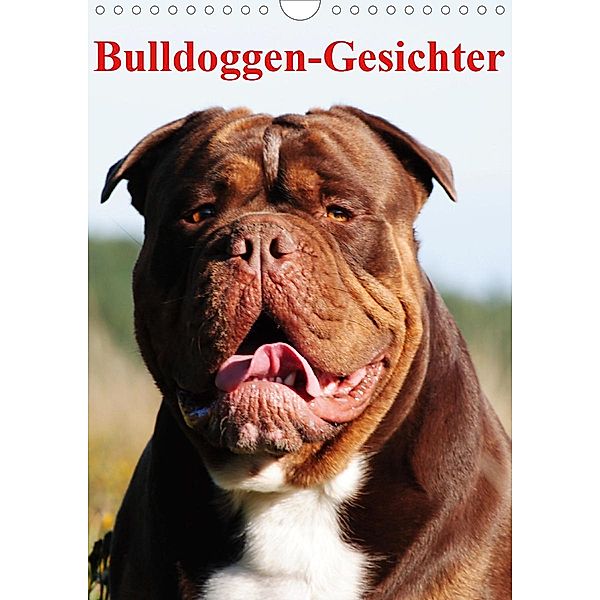 Bulldoggen-Gesichter (Wandkalender 2021 DIN A4 hoch), Elisabeth Stanzer