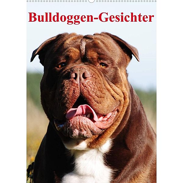 Bulldoggen-Gesichter (Wandkalender 2023 DIN A2 hoch), Elisabeth Stanzer