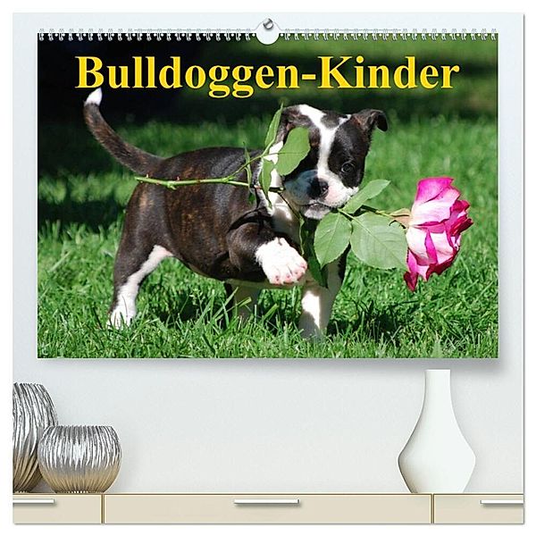 Bulldoggen-Kinder (hochwertiger Premium Wandkalender 2024 DIN A2 quer), Kunstdruck in Hochglanz, Elisabeth Stanzer