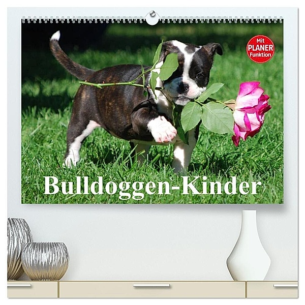 Bulldoggen-Kinder (hochwertiger Premium Wandkalender 2024 DIN A2 quer), Kunstdruck in Hochglanz, Elisabeth Stanzer