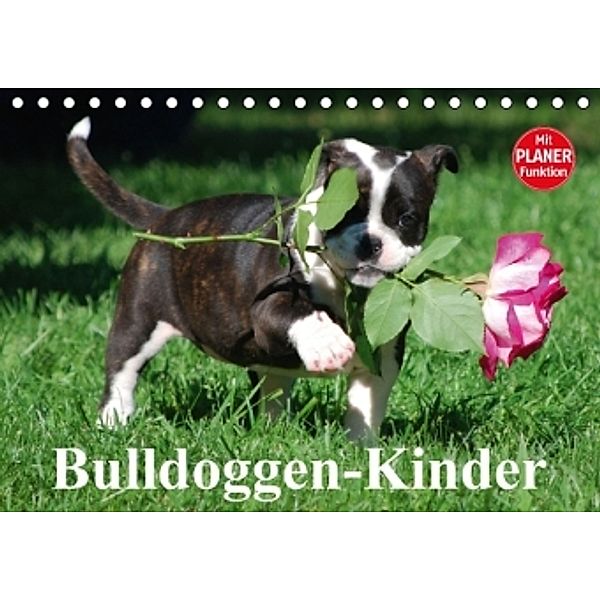 Bulldoggen-Kinder (Tischkalender 2016 DIN A5 quer), Elisabeth Stanzer