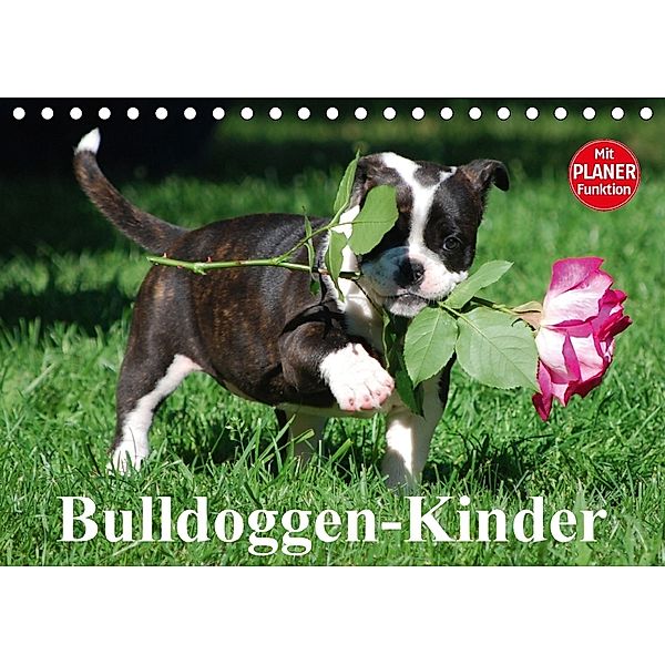 Bulldoggen-Kinder (Tischkalender 2018 DIN A5 quer) Dieser erfolgreiche Kalender wurde dieses Jahr mit gleichen Bildern u, Elisabeth Stanzer