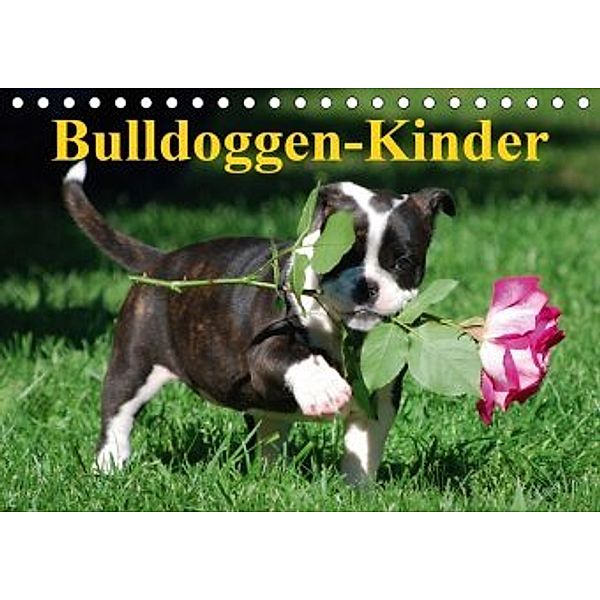 Bulldoggen-Kinder (Tischkalender 2020 DIN A5 quer), Elisabeth Stanzer