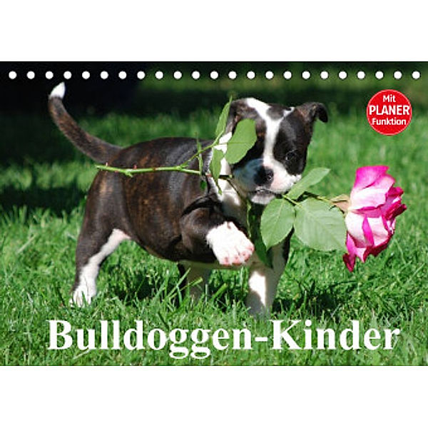 Bulldoggen-Kinder (Tischkalender 2022 DIN A5 quer), Elisabeth Stanzer