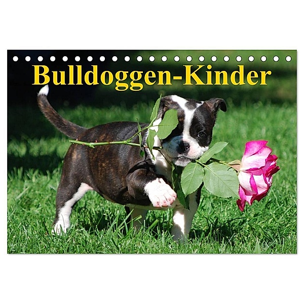 Bulldoggen-Kinder (Tischkalender 2024 DIN A5 quer), CALVENDO Monatskalender, Elisabeth Stanzer