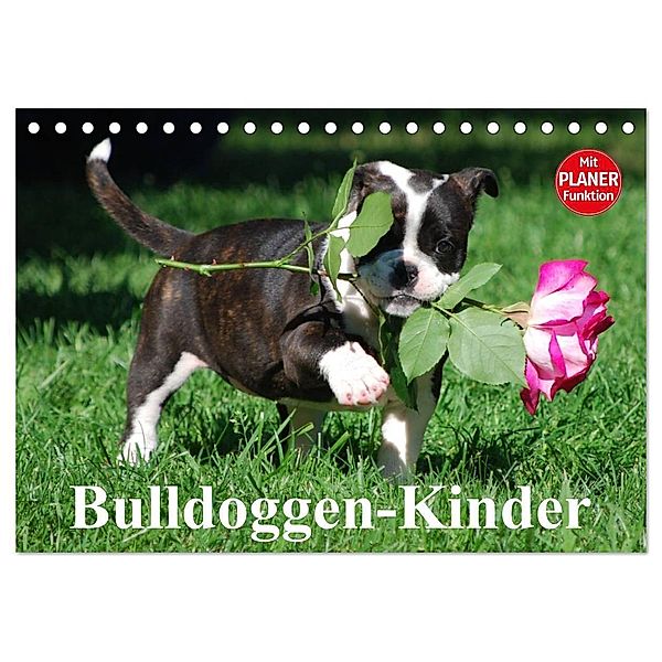 Bulldoggen-Kinder (Tischkalender 2024 DIN A5 quer), CALVENDO Monatskalender, Elisabeth Stanzer