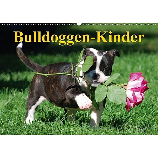 Bulldoggen-Kinder (Wandkalender 2017 DIN A2 quer), Elisabeth Stanzer