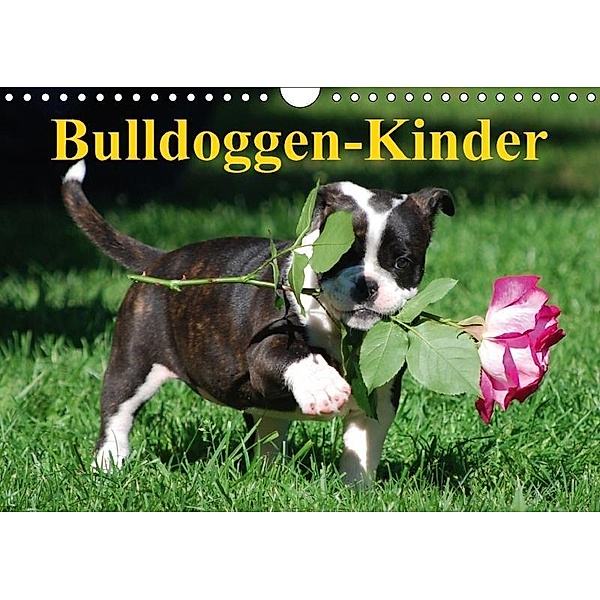 Bulldoggen-Kinder (Wandkalender 2017 DIN A4 quer), Elisabeth Stanzer