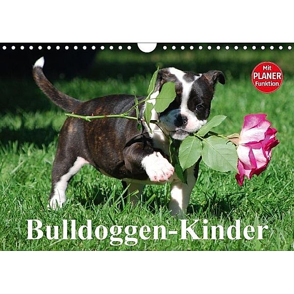 Bulldoggen-Kinder (Wandkalender 2017 DIN A4 quer), Elisabeth Stanzer