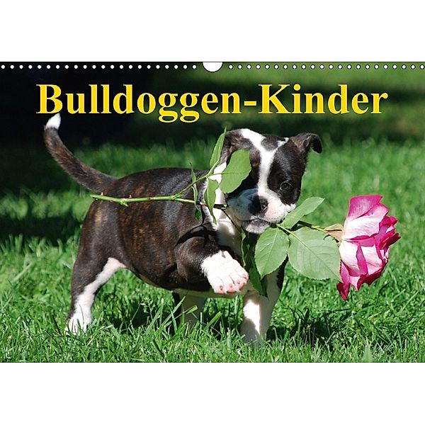 Bulldoggen-Kinder (Wandkalender 2018 DIN A3 quer), Elisabeth Stanzer