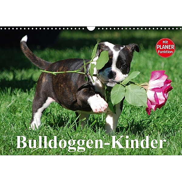 Bulldoggen-Kinder (Wandkalender 2018 DIN A3 quer) Dieser erfolgreiche Kalender wurde dieses Jahr mit gleichen Bildern un, Elisabeth Stanzer