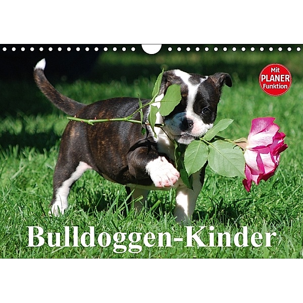 Bulldoggen-Kinder (Wandkalender 2018 DIN A4 quer) Dieser erfolgreiche Kalender wurde dieses Jahr mit gleichen Bildern un, Elisabeth Stanzer