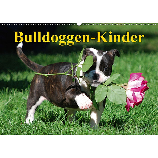 Bulldoggen-Kinder (Wandkalender 2019 DIN A2 quer), Elisabeth Stanzer