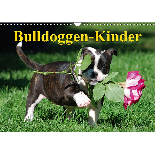 Bulldoggen-Kinder (Wandkalender 2019 DIN A3 quer), Elisabeth Stanzer