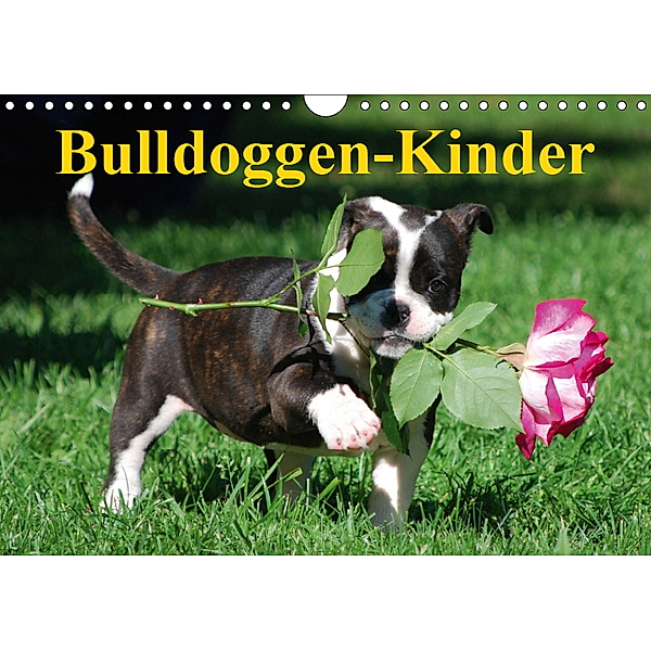 Bulldoggen-Kinder (Wandkalender 2019 DIN A4 quer), Elisabeth Stanzer
